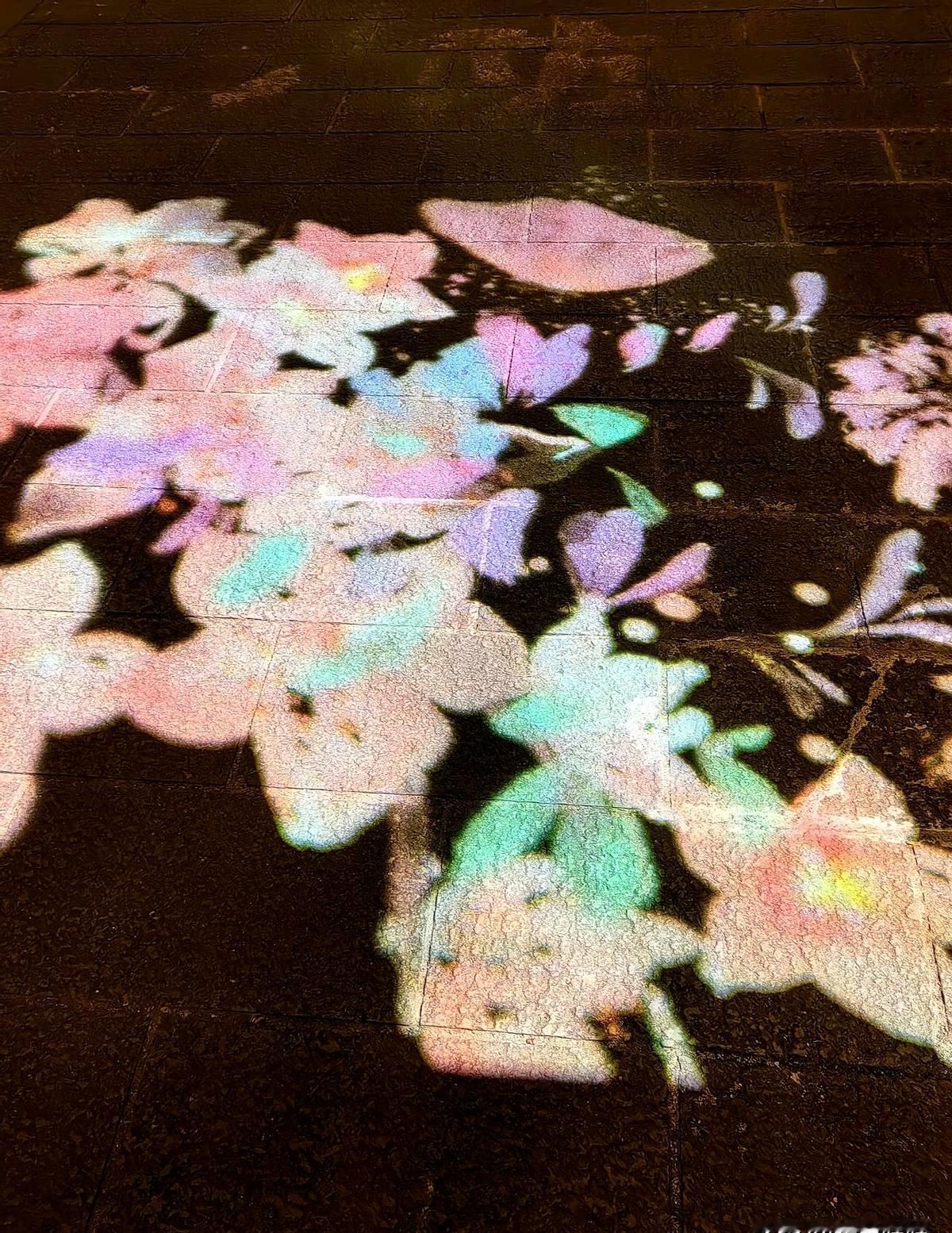 单位一同事，编制内的，头脑不怎么灵光，手上也没有具体的工作，每月工资到手5000