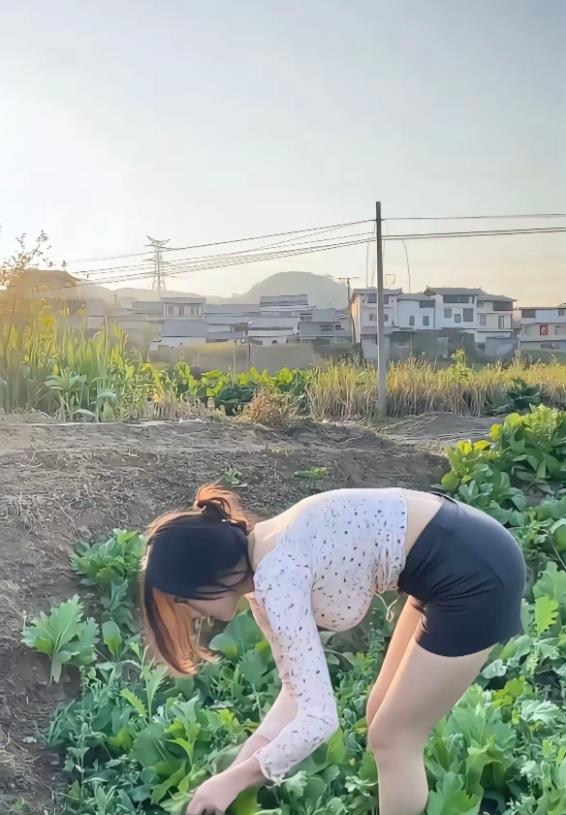 还是村里的蔬菜看着比较新鲜，绿油油的一片！