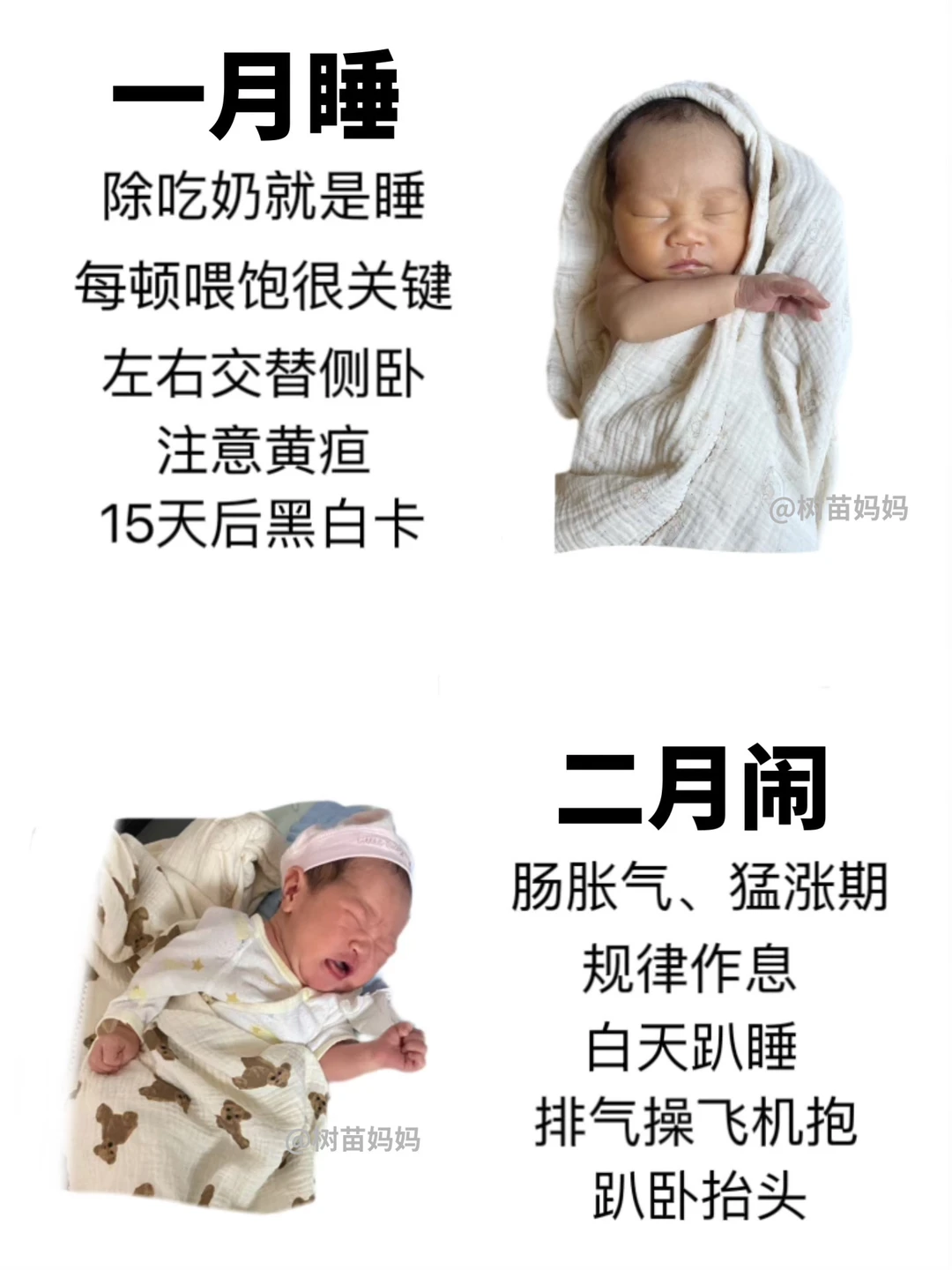 2026新🔥宝宝0-12月龄发育进程➕早教安排