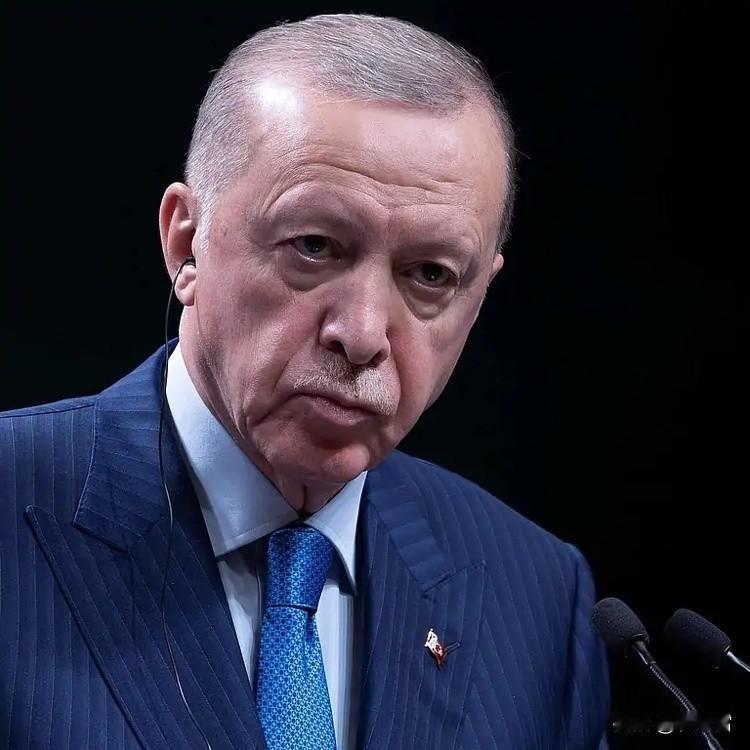 土耳其真是太不懂事了，他们竟然对内塔尼亚胡下逮捕令，指控他反人类罪也就算了，还外