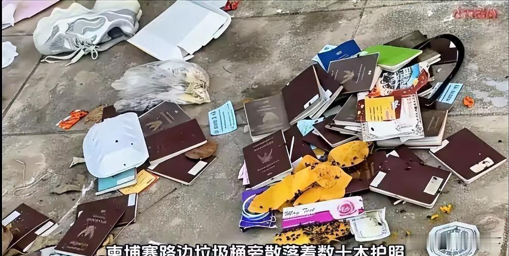 柬埔寨惊现遗弃护照+瘦骨猛兽失踪者去哪了？柬埔寨路边，十几本护照、一只新鞋散落，