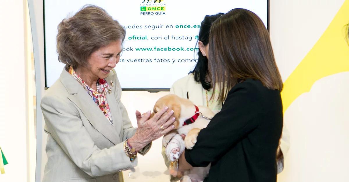 索菲亚公主2026年的第一个solo公务预告~1月30日（下周五），在水果牙读书