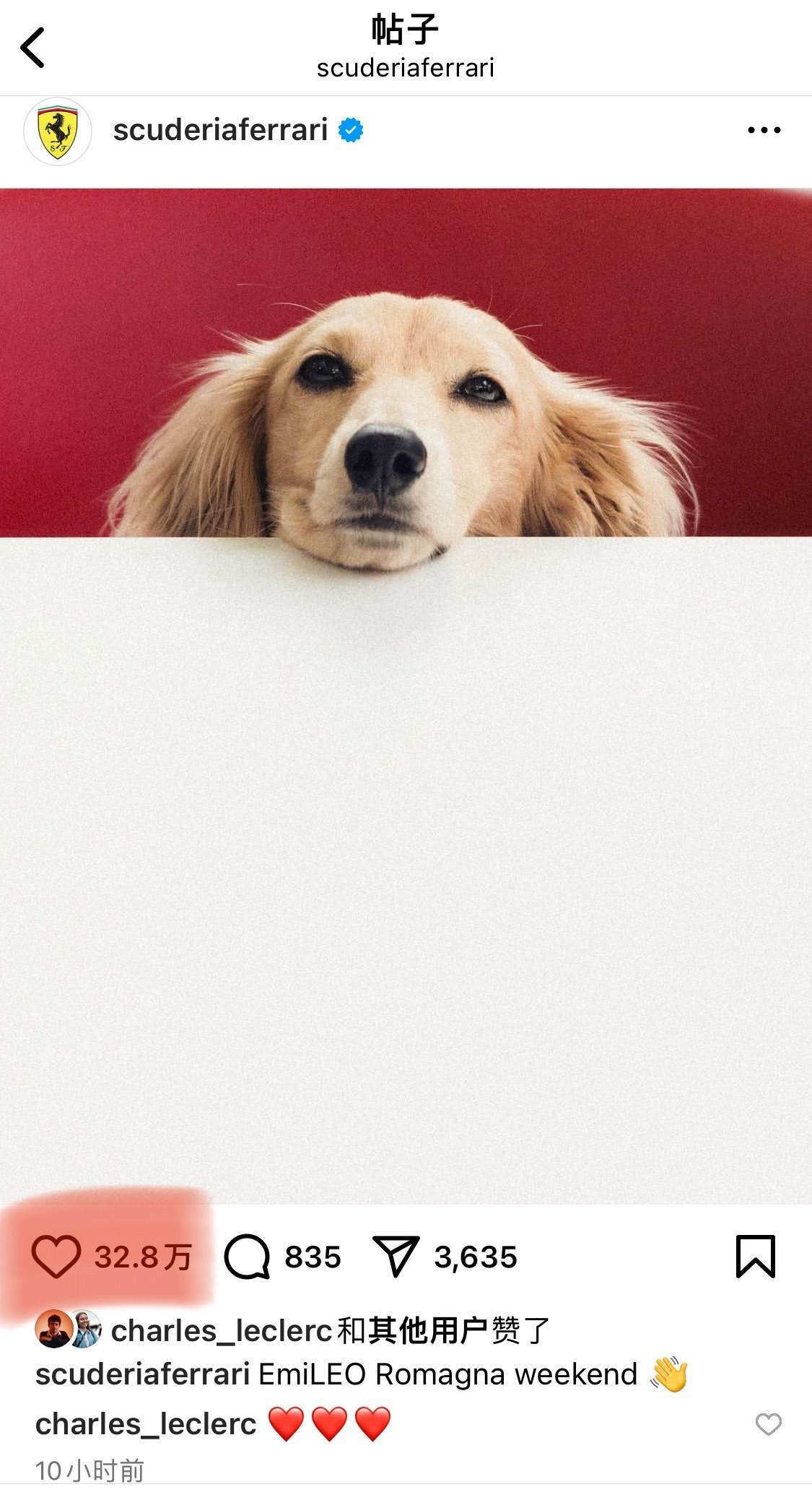 F1｜夏尔·勒克莱尔果然！没有人会不喜欢狗狗！狗狗才是真明星啊[doge]获赞比