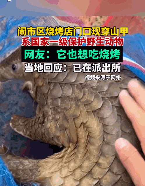 “意外的惊喜！”江西景德镇，一烧烤店老板发现门外有东西在爬行，女店主以为是只大老