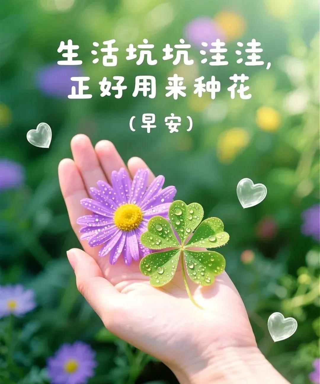 《鹧鸪天·晨安》晓色推窗染玉笺，清音载瑞落檐边。云笺细写千般愿，风缕轻梳万事弦