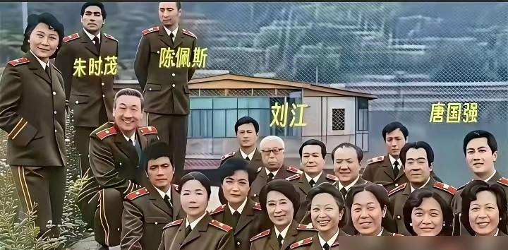 照片里，没有一张精致的脸。军装洗得发白，脸上是前线风沙留下的粗糙痕迹，几十个人