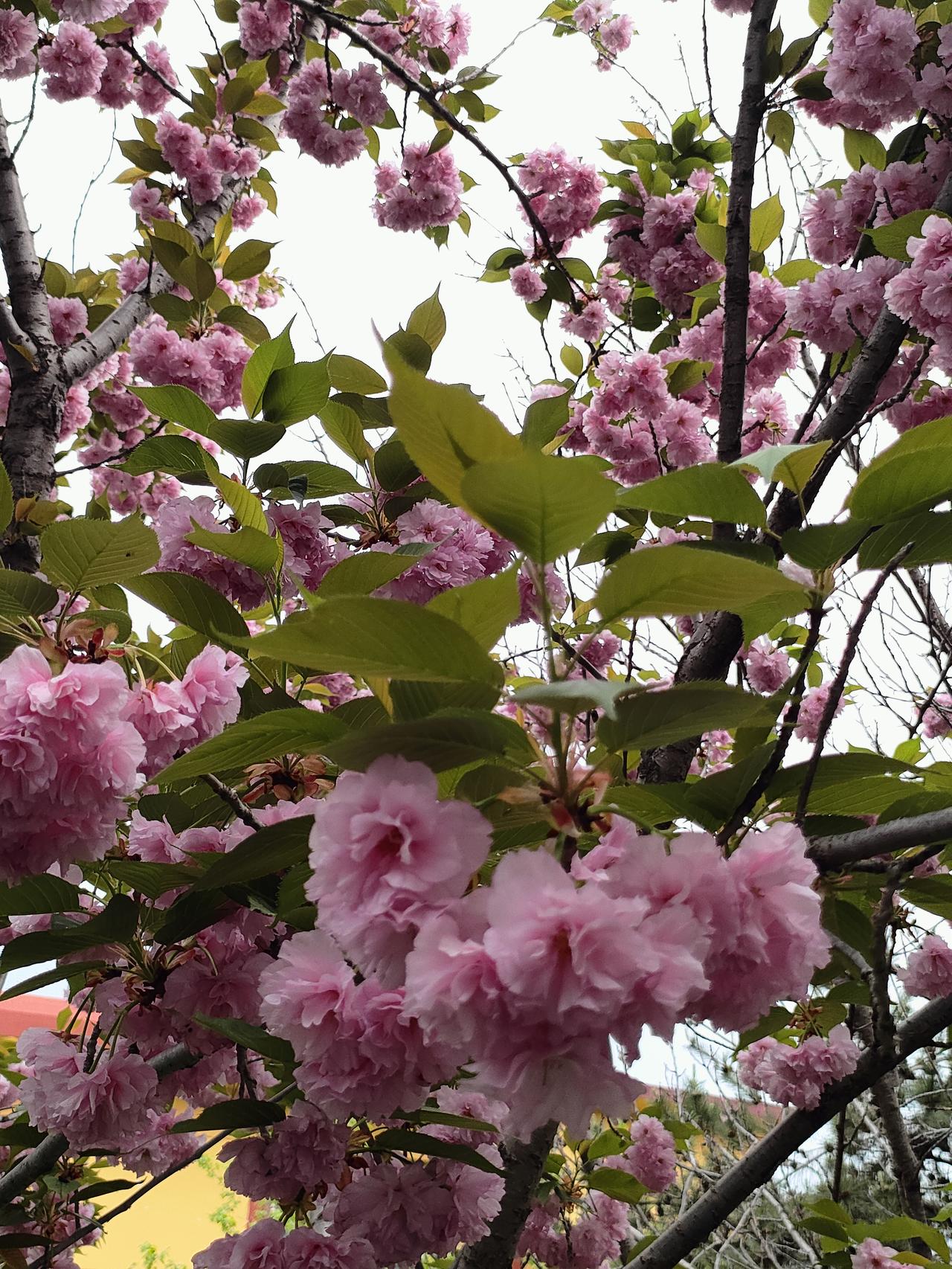 悟透人间百态，修得内心从容，半生烟火皆温柔人这一辈子，走着走着就到了半生，