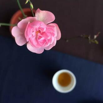 先有喝茶的心, 才有茶喝