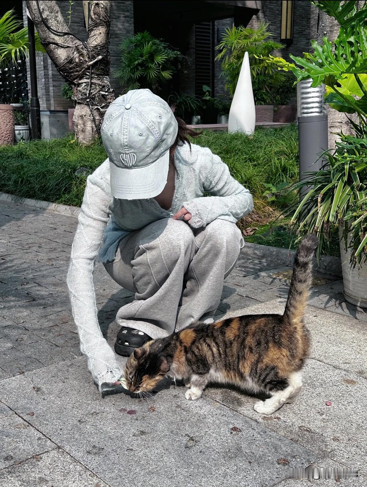 你们知道吗?猫咪不会“讨厌”你只是用它的方式表达在意很多人觉得猫咪高冷,