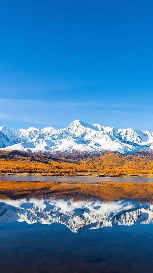 一位情感咨询师说:“丈夫总是让着老婆，这个家必败。如果老婆总是迁就老公，这个家