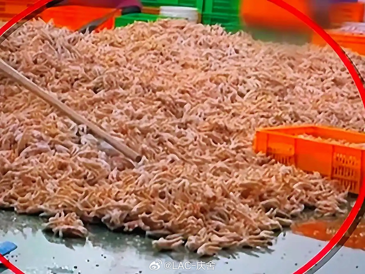 315晚会酸辣无骨鸡爪夏天烧烤必备现在看得我后背发凉。吃到嘴里的东西竟然用工业