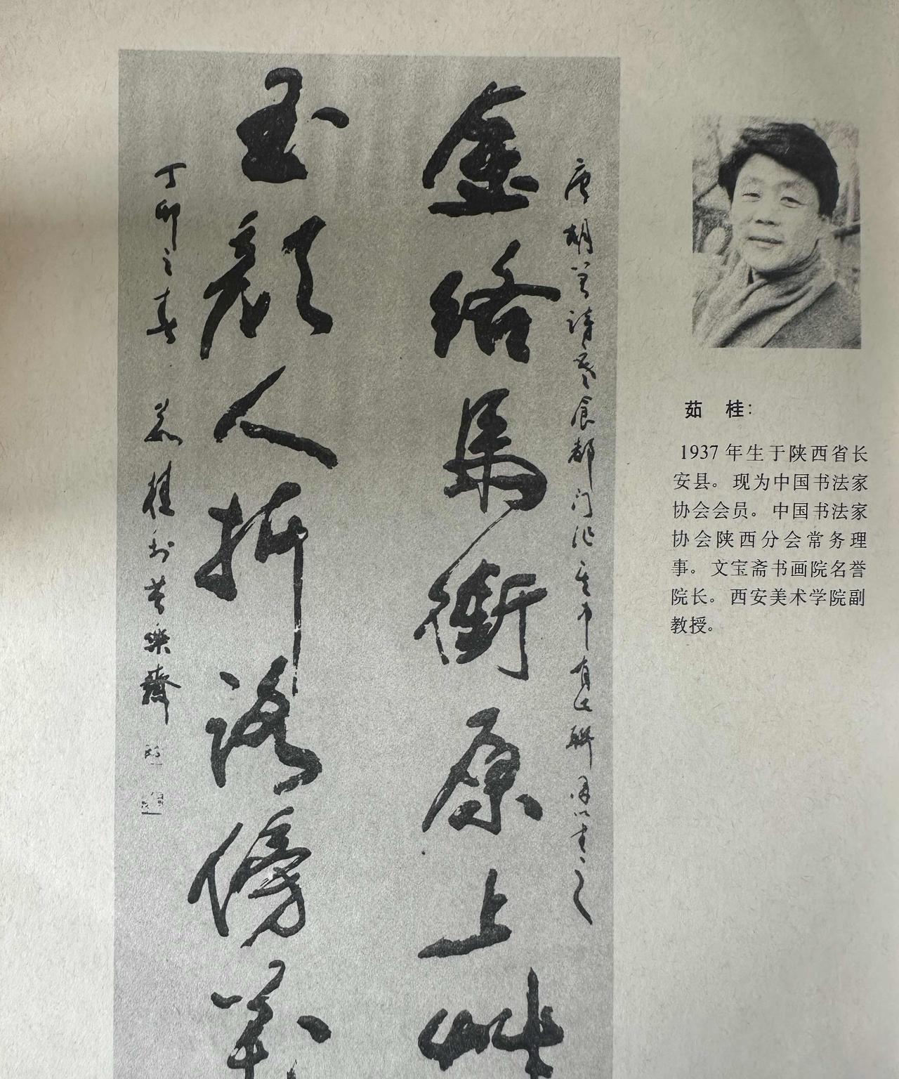 书法家茹桂的字，风格独特，秀气惠中，字体奔放，超脱自然，整幅字很有美感。