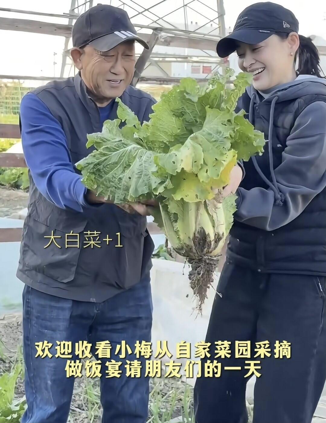 51岁的梅婷不化妆，素面朝天，不工作闲暇的时候在菜园地里挖土，种菜，这种悠闲的生