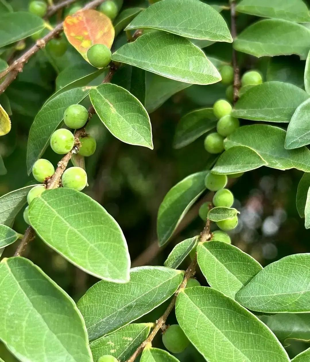 胖东来被吐槽一瓶酱油卖到八十八，网友晒出同款网购便宜一大截。有人顺藤摸瓜翻出“