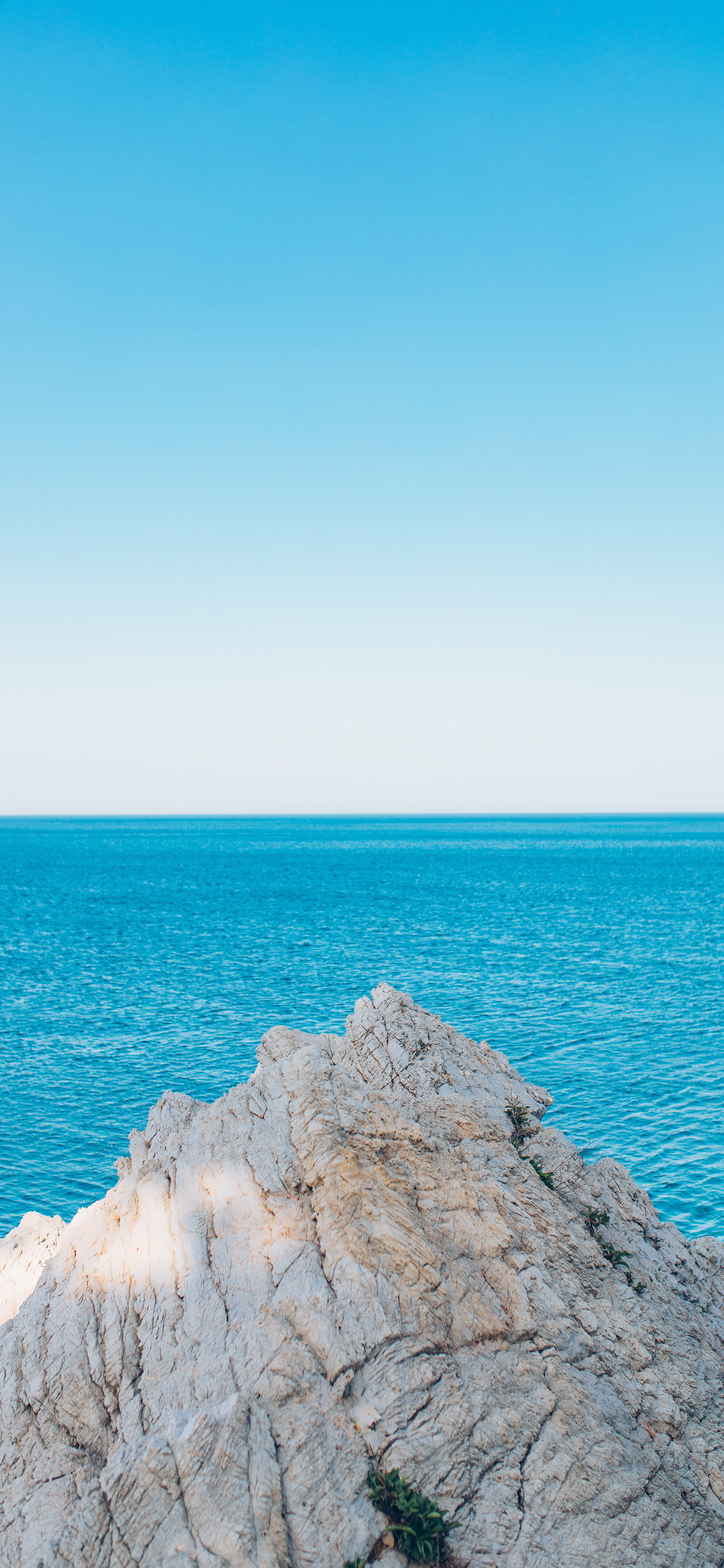 大海🌊​​​