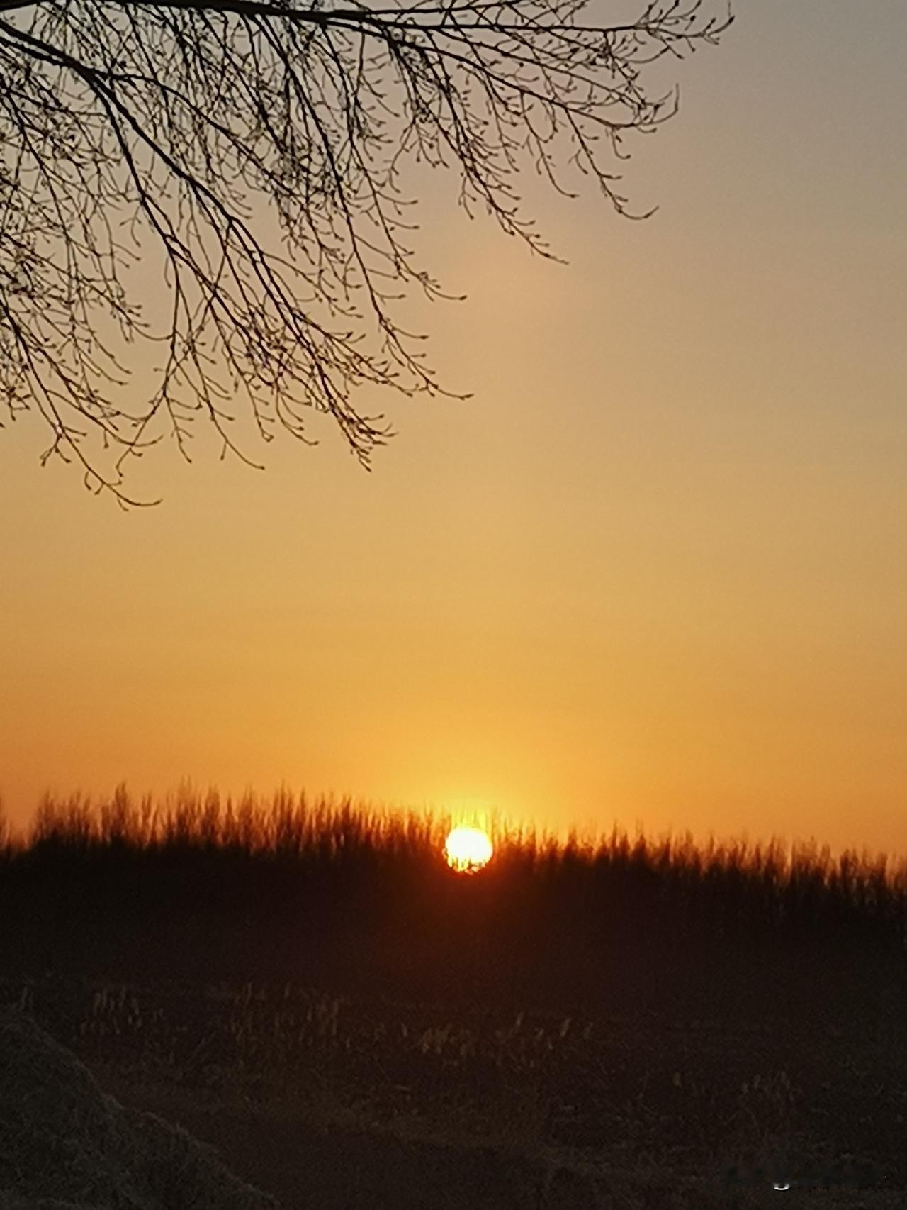 没领证也算“一家人”？最高检新规：同居遭遇精神家暴算违法！今天热搜第一直接