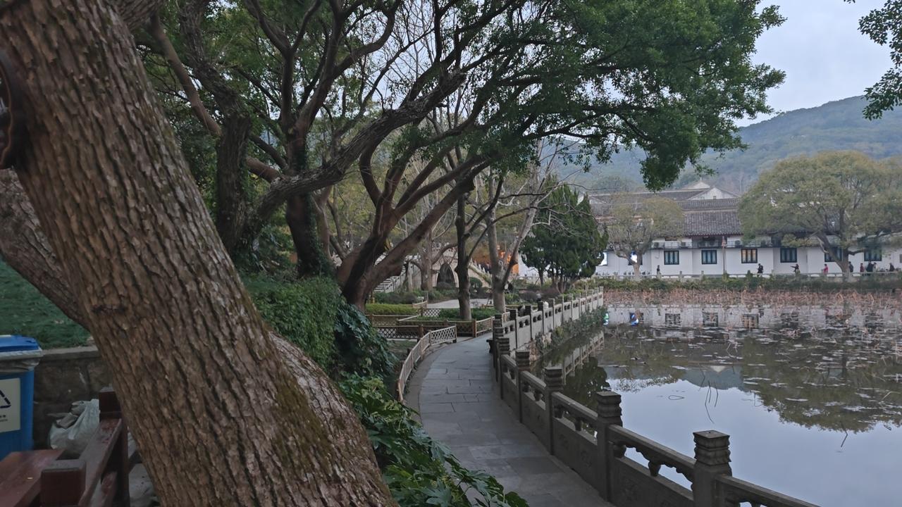 感受江南春景！