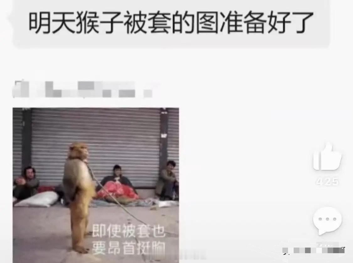全网最完整「猴模块」炒作体系！猴子=存储CXO=光模块MNC=CSP