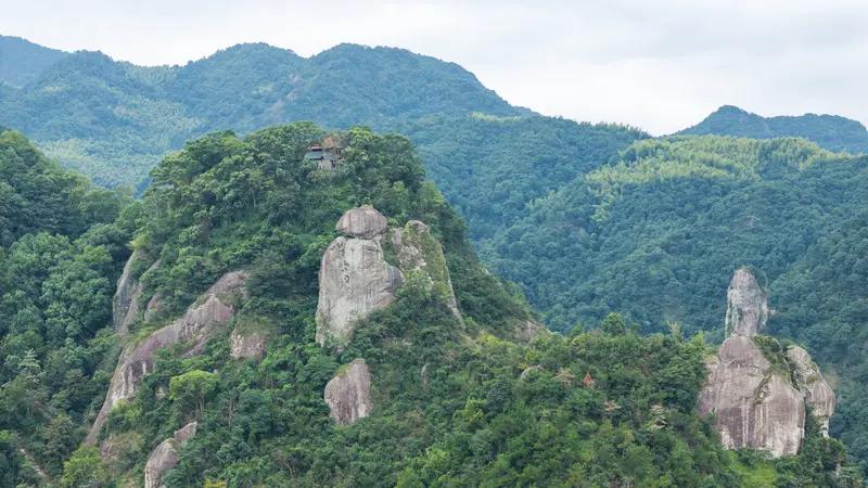 岩山蔫了，利欧也蔫了。前两天还活蹦乱跳的，现在直接躺平，连个像样的反弹都挤不出来
