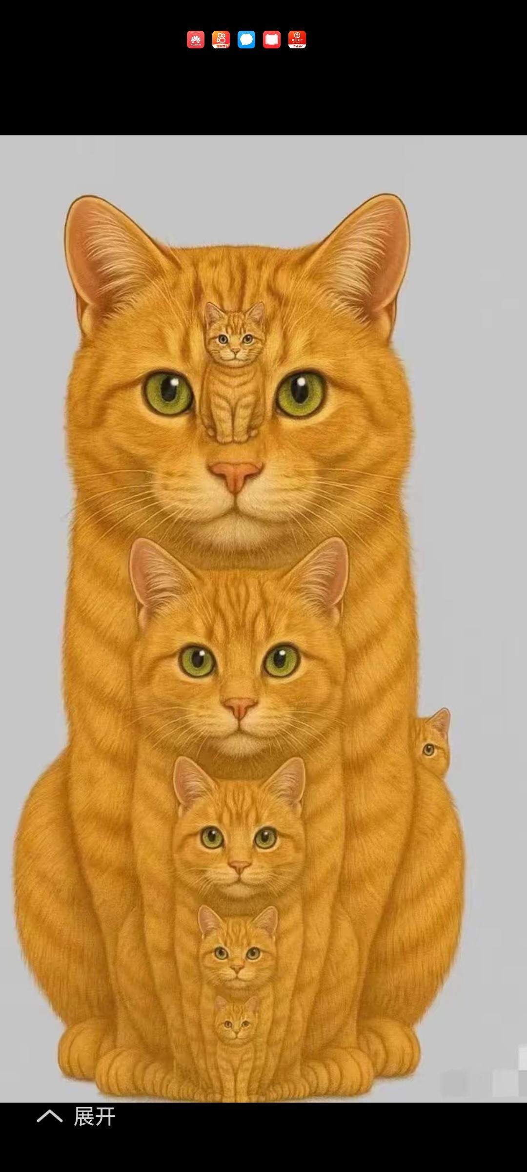 看看谁的智商高，图中有几个猫。猜对说明你[赞]
