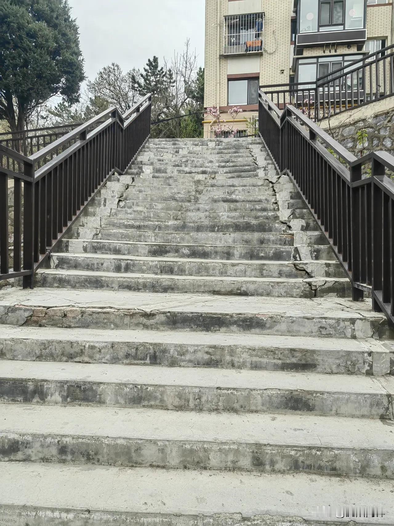 跑大马去了趟大连看看真实的大连城市确实不错晒图笔记大赛但有的地方真不如人