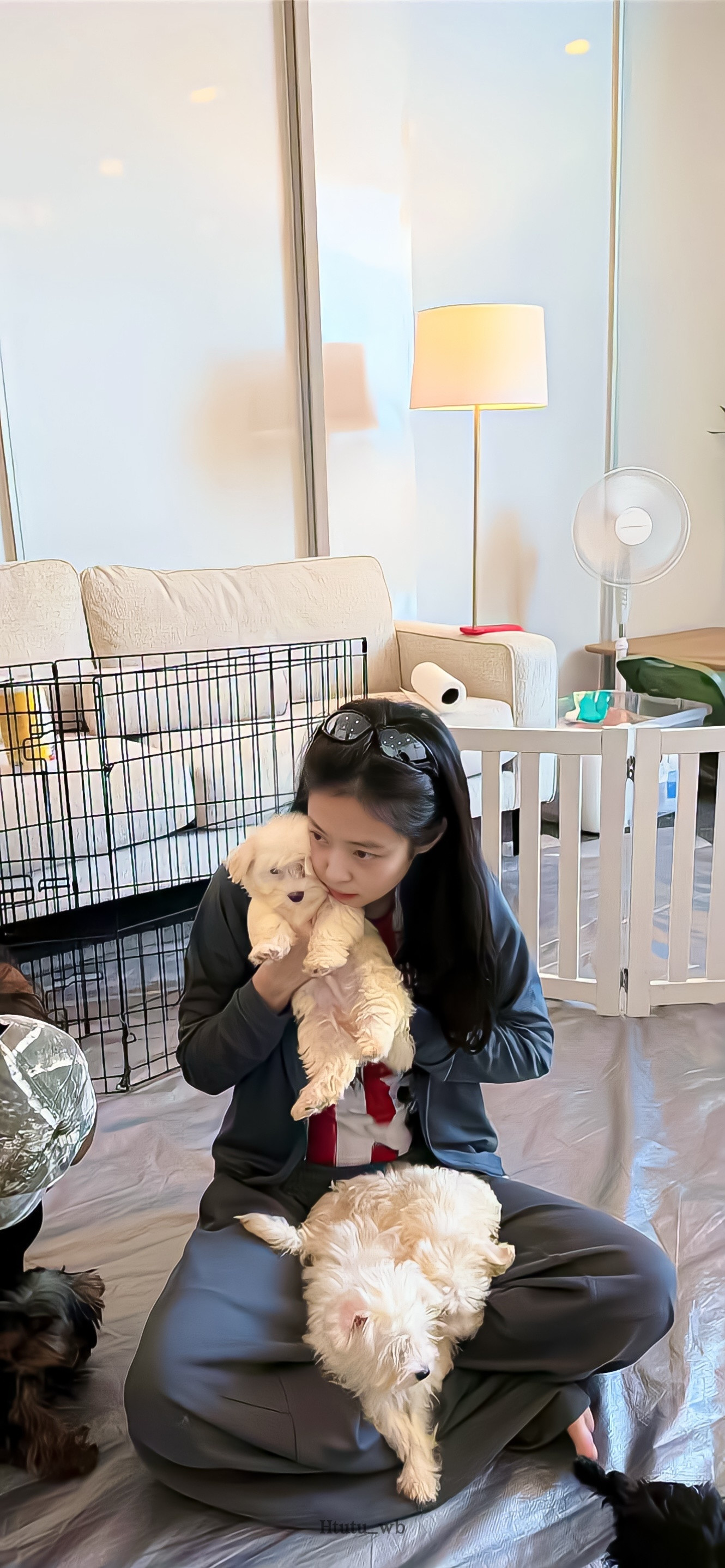 Jennie壁纸更新啦～🧸🐶​​​