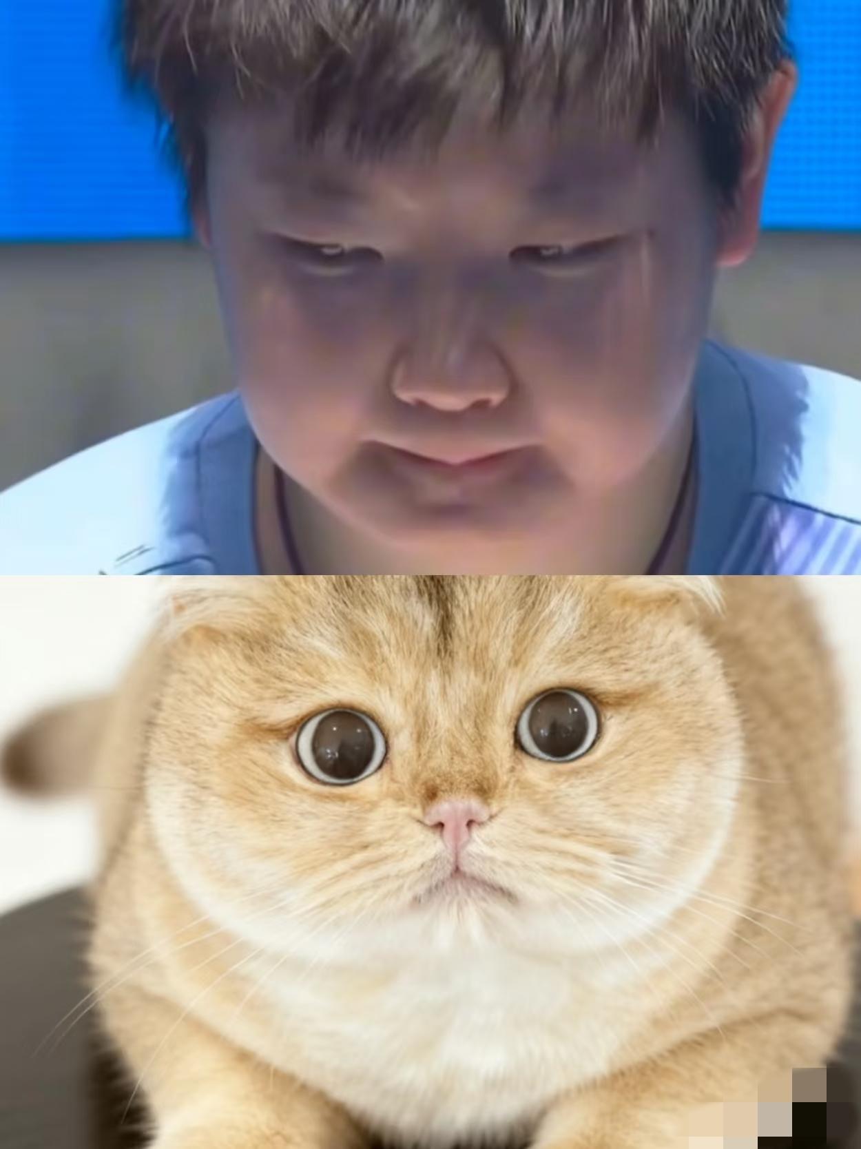 一时间分不清哪个更可爱。你看莎莎这圆圆的脸蛋，高清镜头下还能看到绒绒的毛。太可