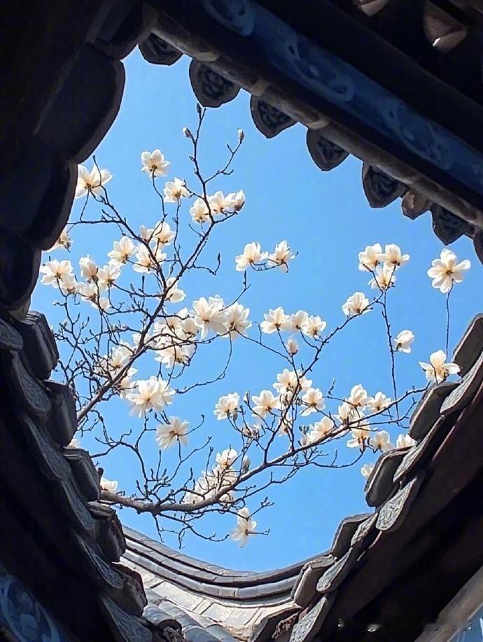 不少人说体制内的工资上涨了。实际上是体制内把年底的绩效改成了每月发，现在你要找