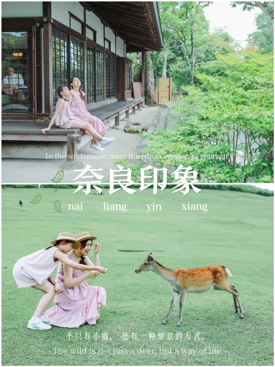 奈良不止小鹿｜日式庭院里的慢时光🍃