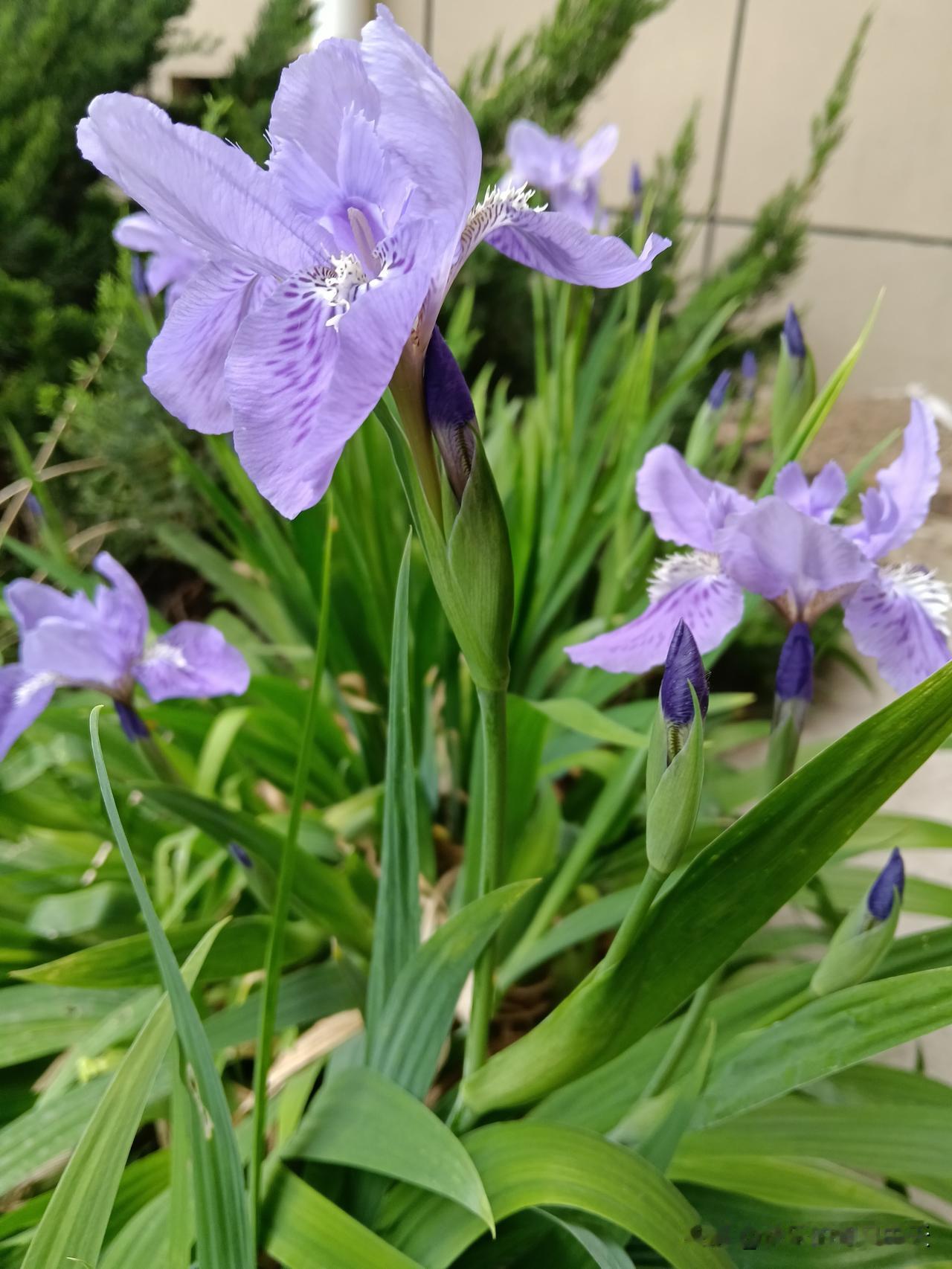 各行业的开店倒闭率前十：1、网吧：40%2、餐饮店：39%3、奶茶店：36