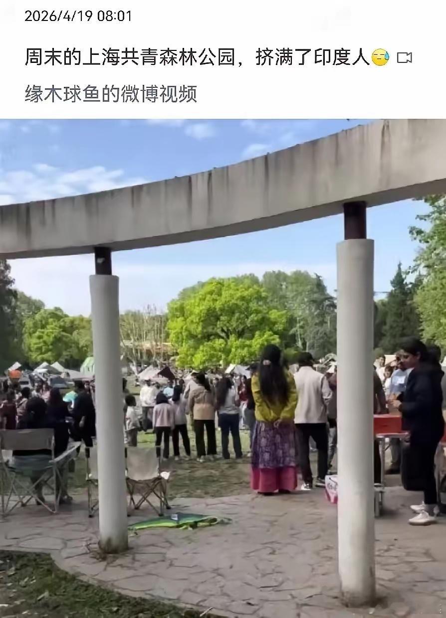 上海印度人，广州黑人。上海怎么这么多印度人？印度人共青森林公园聚集！当你看到第一