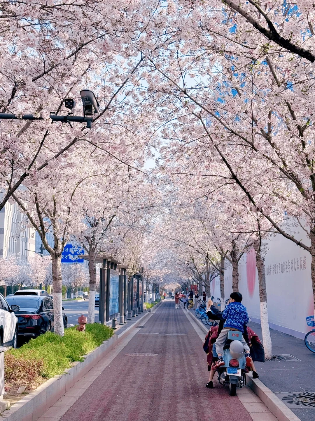 4.3实况！南京纳税人，你的税开花了🌸