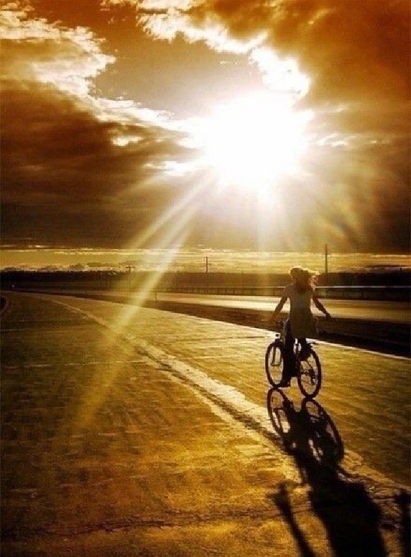 人生若是只活在各种“表象”里，或是只活在“本质”里，都是过不好这一生的，必须要活