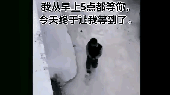 哈哈哈哈我的哥你这样会让人家留下后遗症的