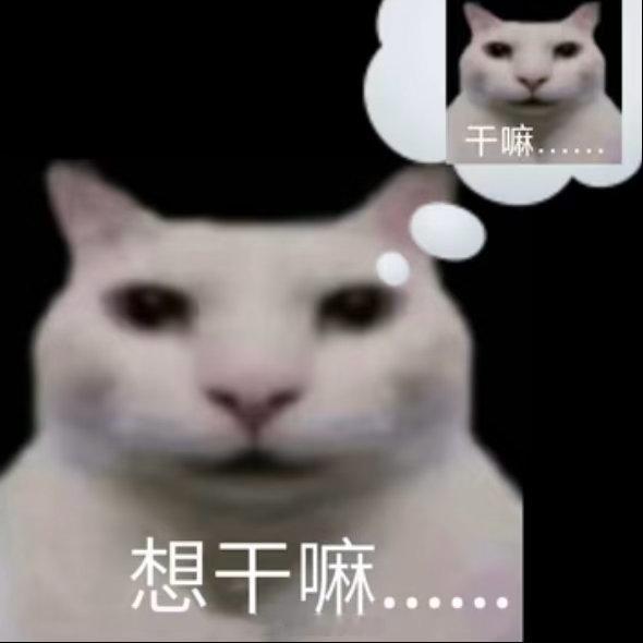 好厉害…都会闯红灯了