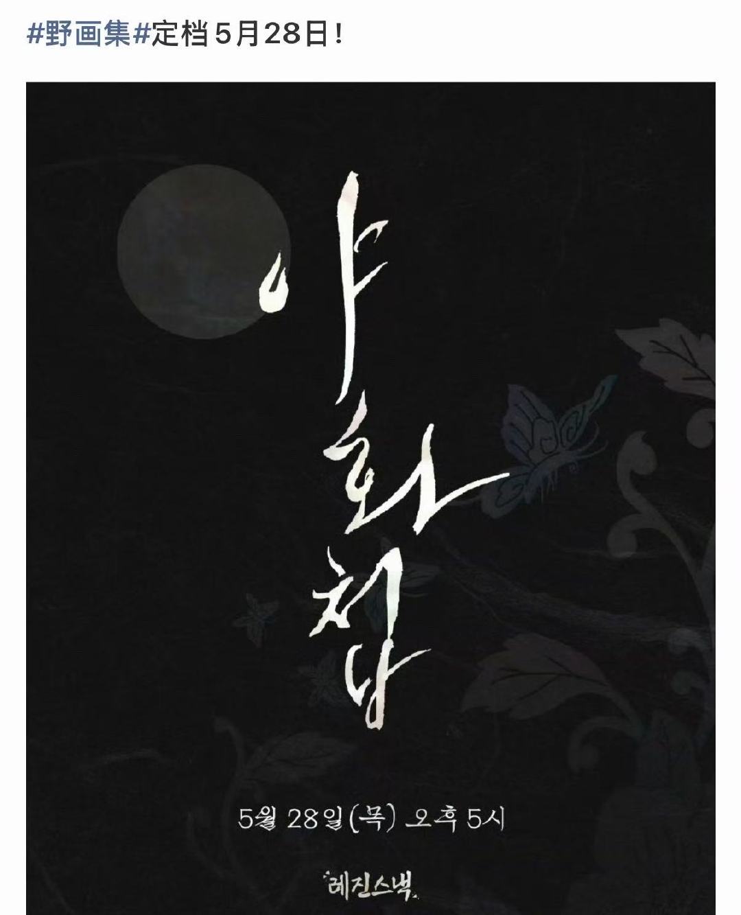 野画集剧版定档野画集定档0528我去