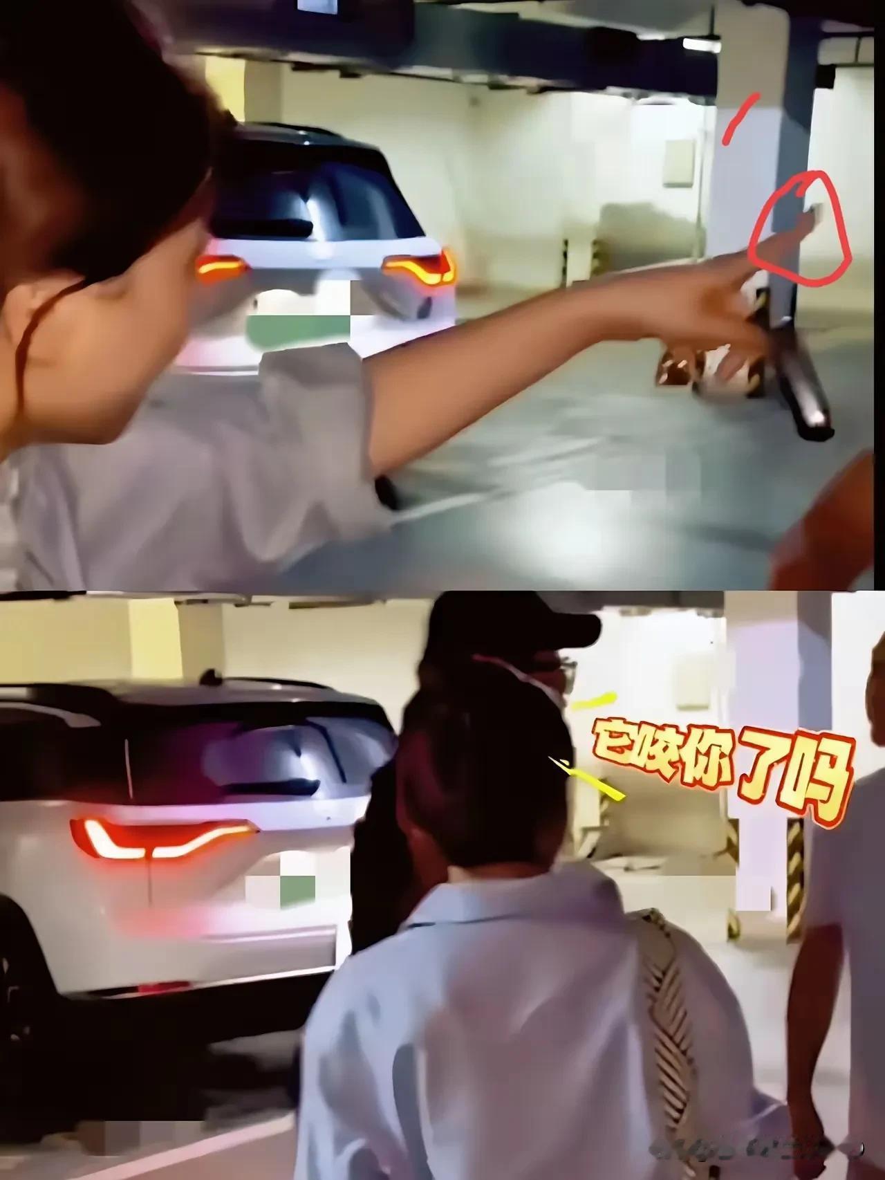 嚣张至极啊，狗虽然没咬人，但狗主人明显是咬人了，态度极其恶劣，事后玩失踪，你倒是