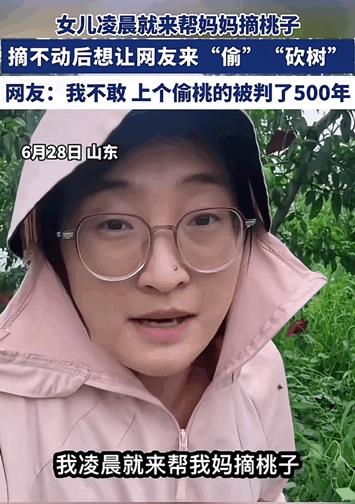 还是年轻人有头脑！广东，一女子称凌晨就来帮妈妈摘桃子，连续已经摘了4天了，实在是