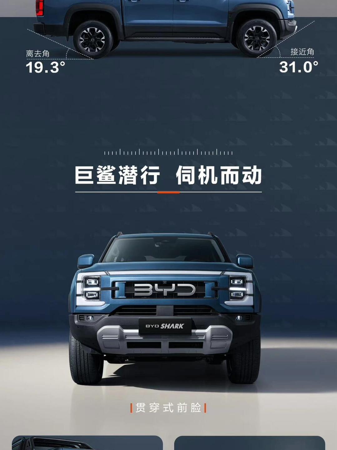 有人会问BYD的鲨鱼皮卡，为什么不在国内卖？