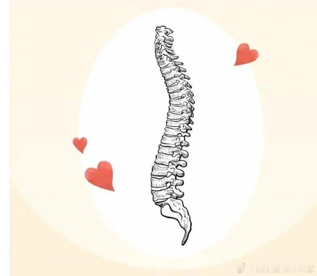 什么样的腰痛要及时就医世界脊柱日全民疼痛疾病攻略想要脊柱健康，这几种营养素很重要