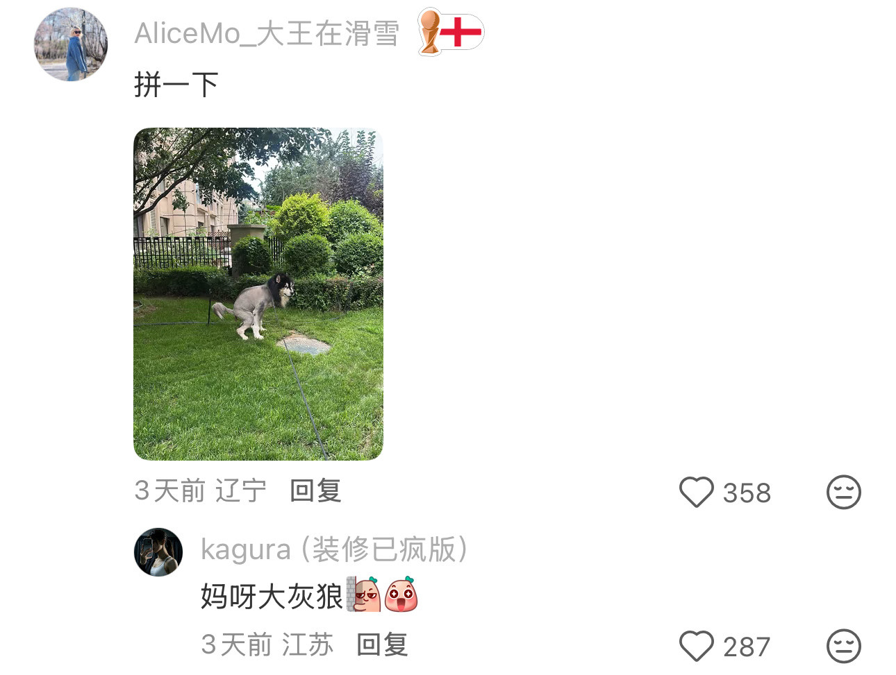 哥新换的发型很拉风认识一下咯