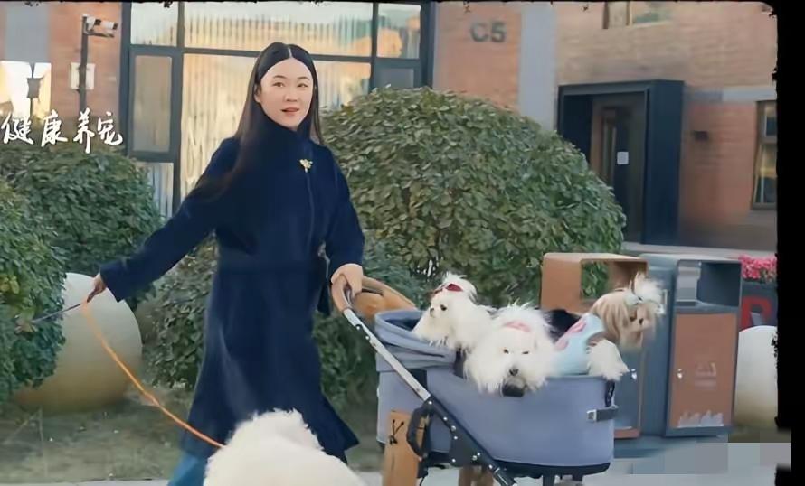 别信女明星的“自律人设”。看看霍思燕家。推开她家门，十条狗和一只孔雀在客厅散