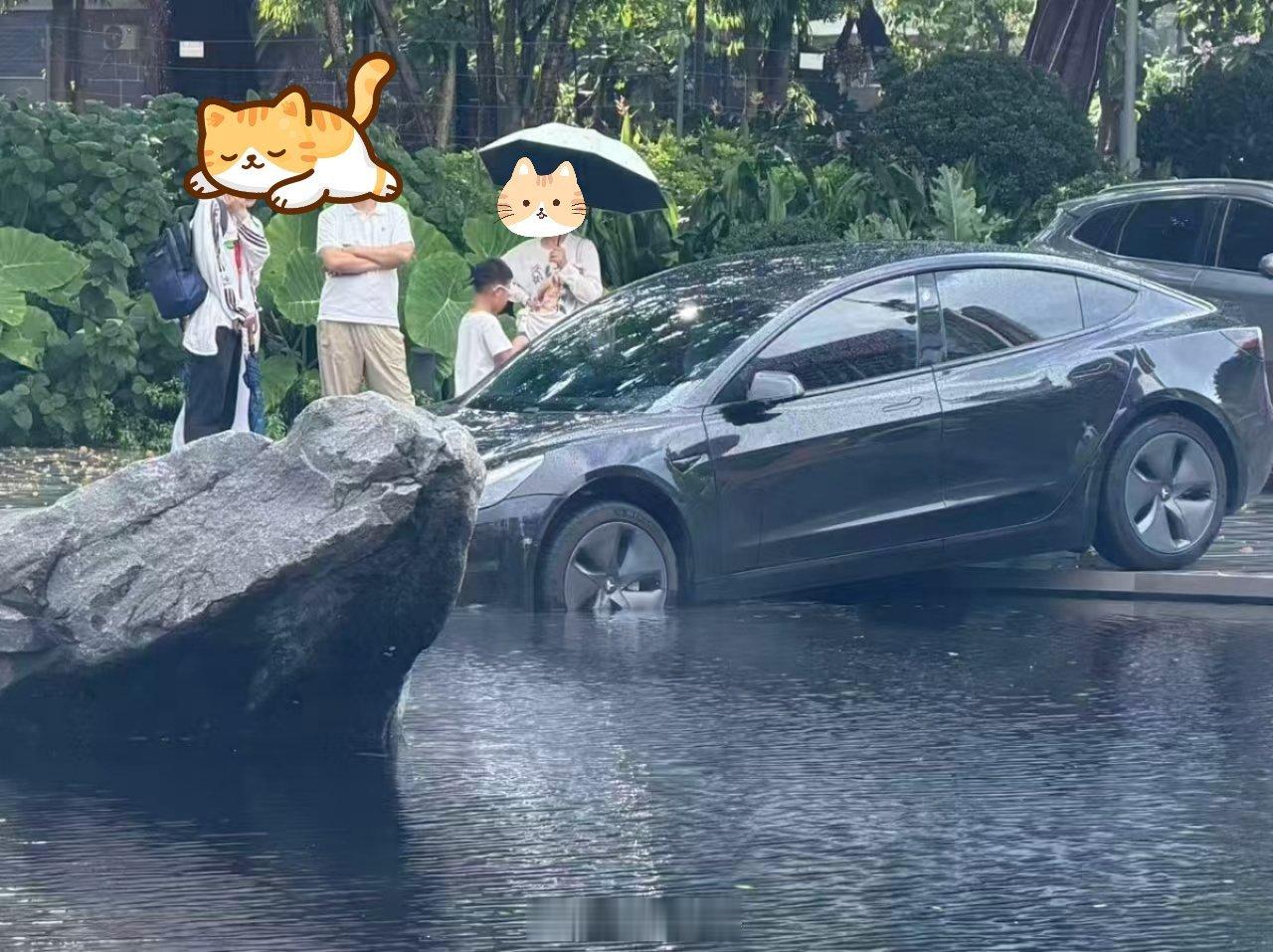 深圳龙岗新世界楼盘（香港郑少的），门口的水池好几部车都掉下去了，是因为设计出了问