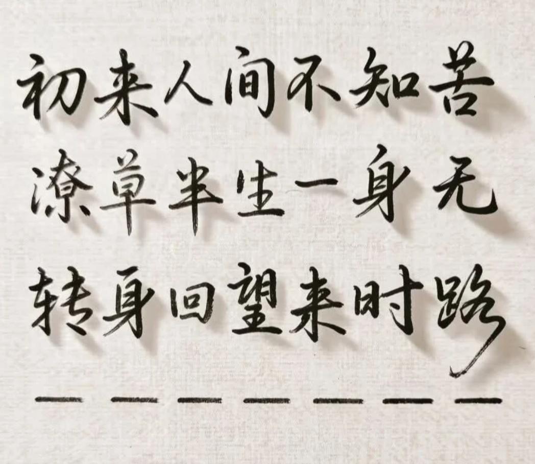 挑战当代网友的文笔，我最后一句话想不出来，你能帮我填上吗？初来人间不知苦，潦草