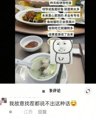 我故意找茬都说不出这种话