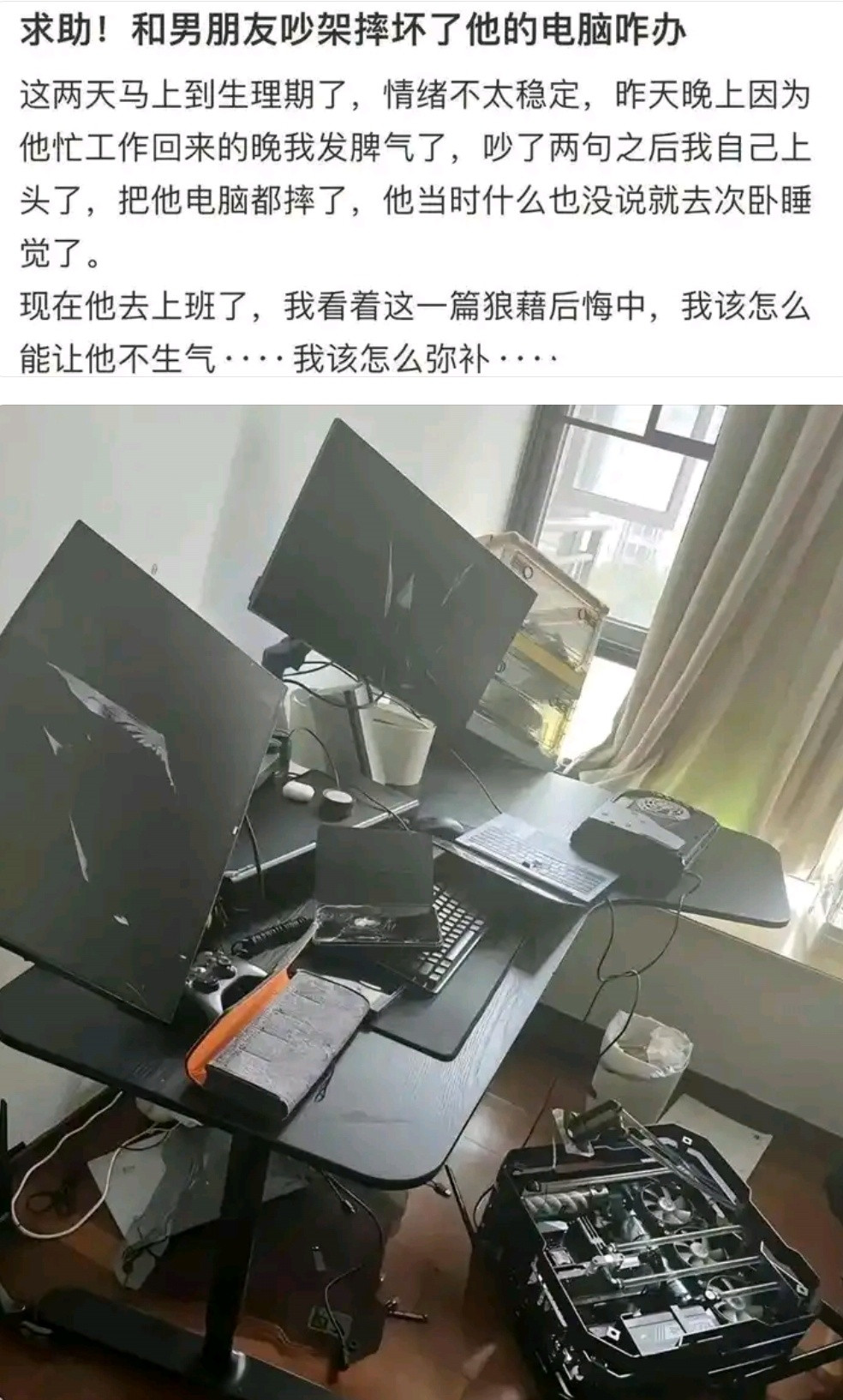 女生生理期和男友吵架，把他电脑全砸了，求助网友怎么办