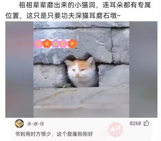 只要功夫深猫耳磨石墩