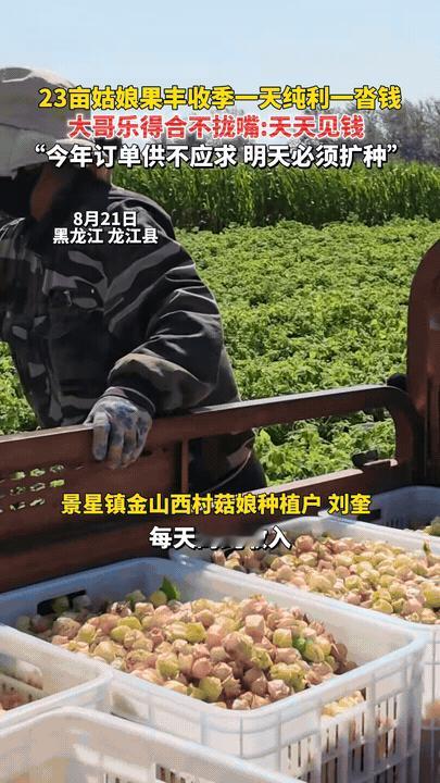 “真有赚钱头脑！”黑龙江，男子不在本地打工，也不出远门打工，在家里就想到了一个赚