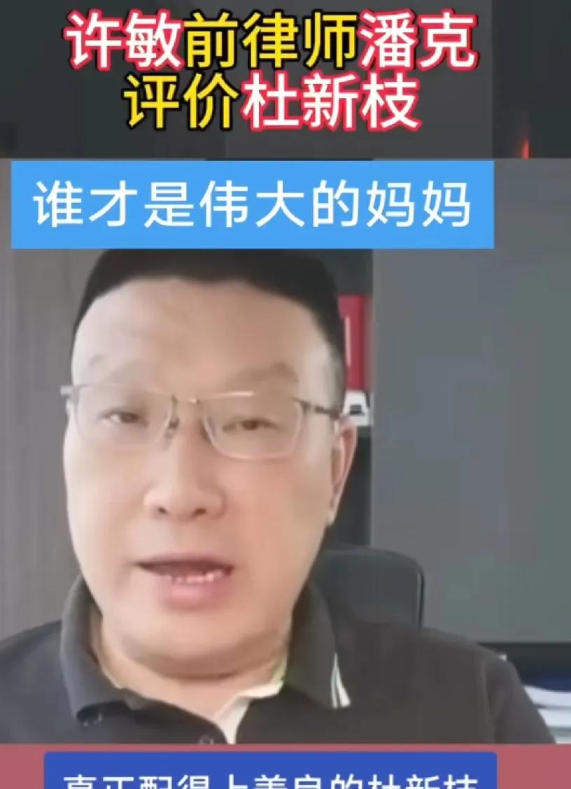 许敏前律师称，在28事件中，只有杜新枝配得上伟大母亲称号。这番言论一出，立刻