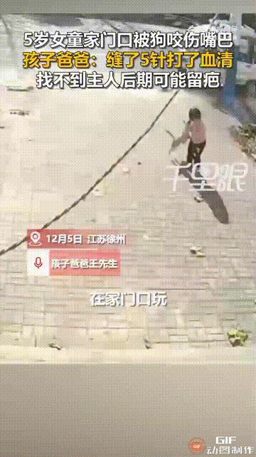 江苏徐州一个5岁女孩在家门口玩耍时，突然有一只没有拴绳的小狗跑过来，直接跳起来朝